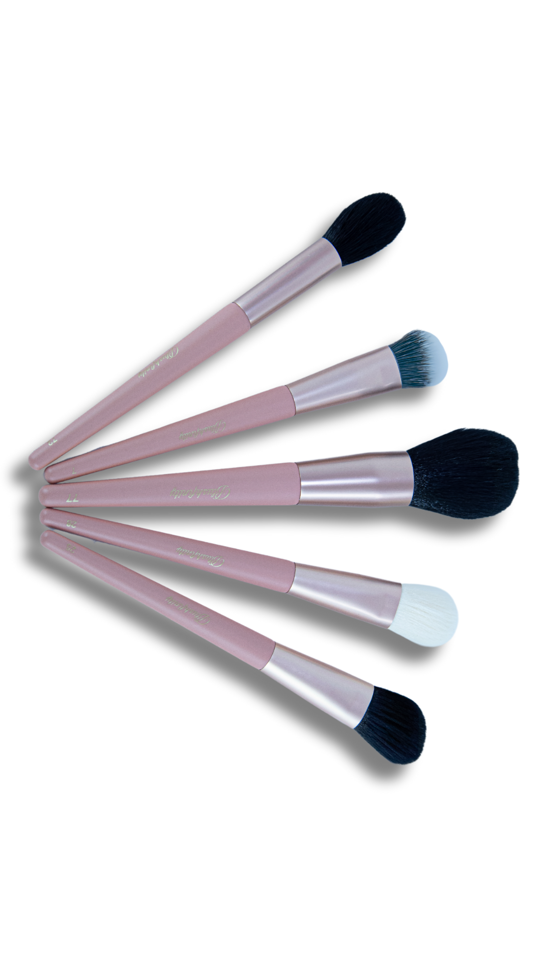 Sculpt & Set Kit – Set 5 pensule